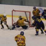 Sršni vstoupili do nového roku výhrou