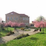 Dana Vepřková: „Kam s nimi?”