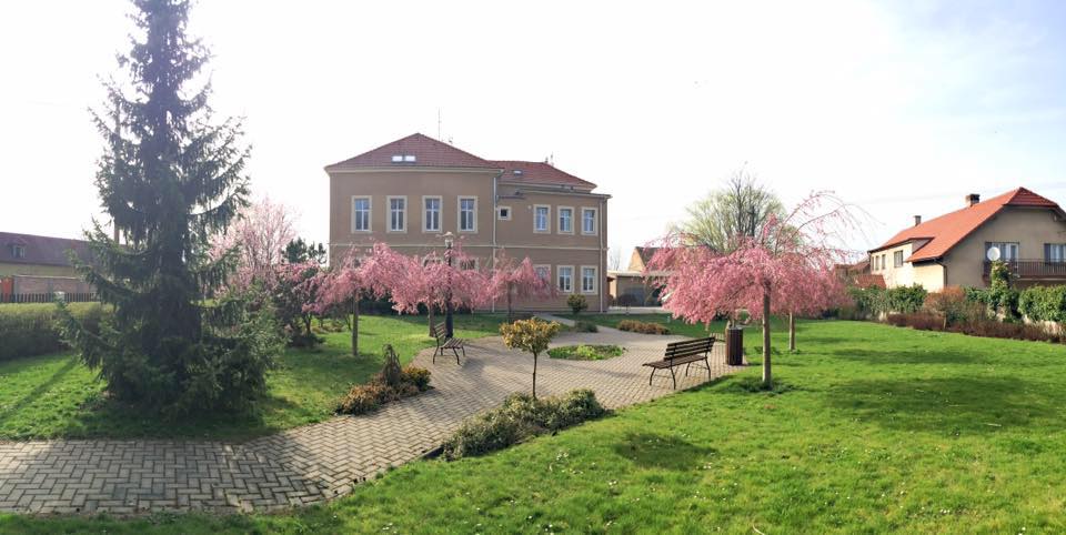 Dana Vepřková: „Kam s nimi?”