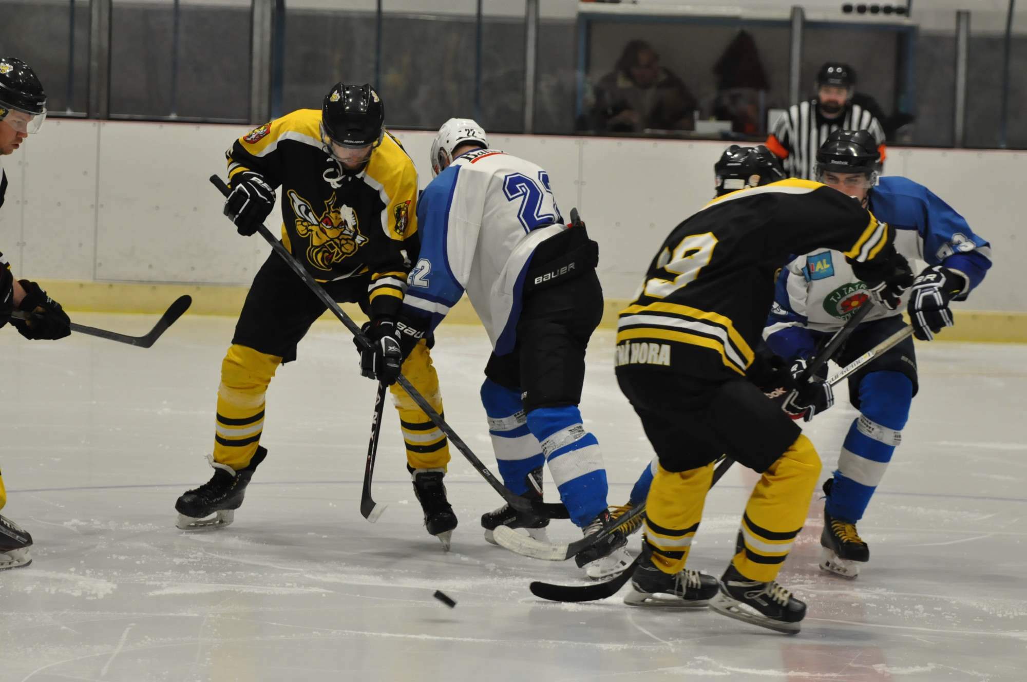 Mladí Sršni potvrdili vítězství v baráži