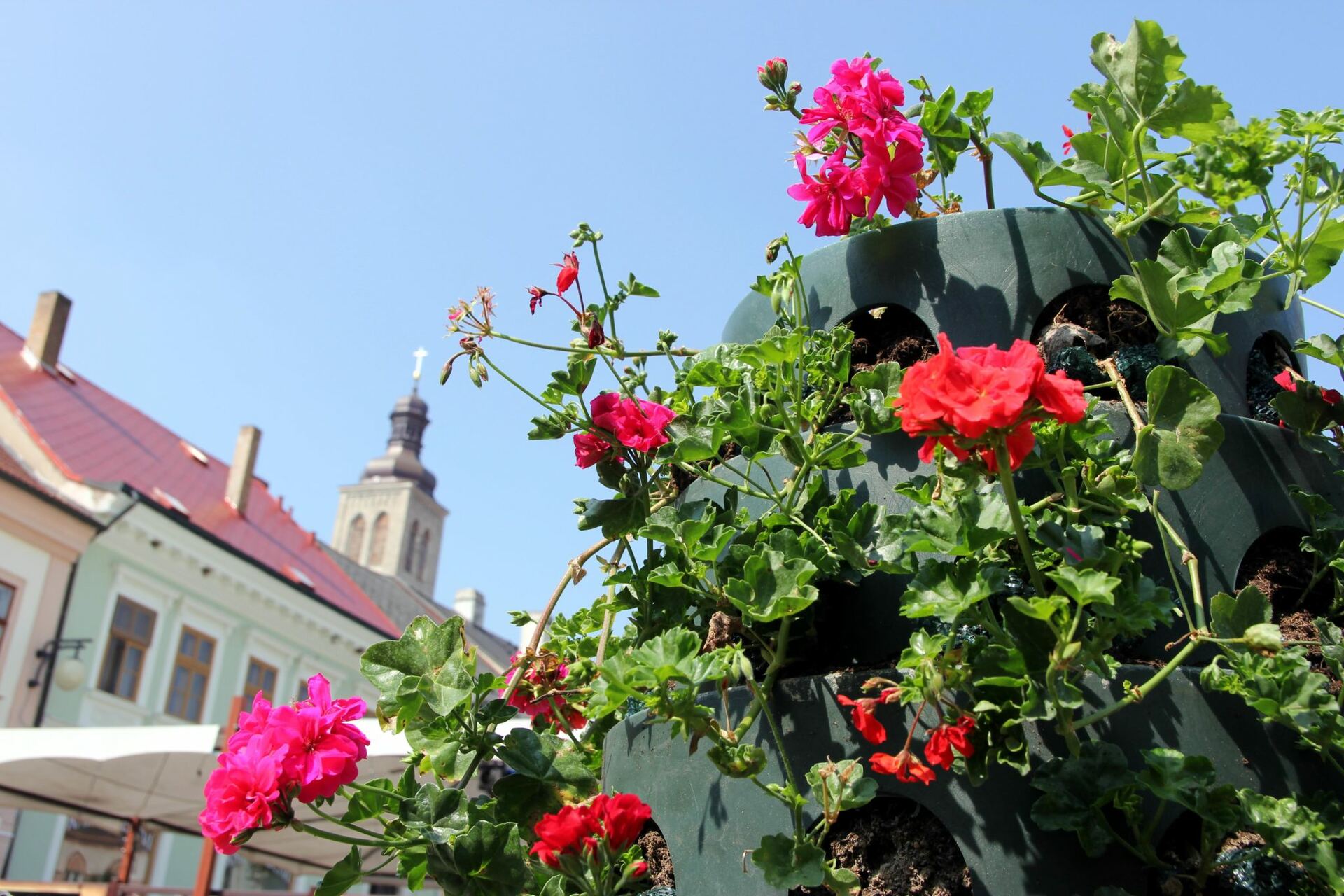 Po květinových věžích instalovali v centru Kutné Hory i závěsné květináče