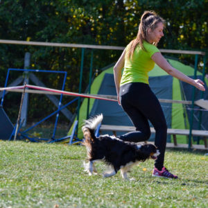 Na závody agility přijelo na kynologické cvičiště do Kutné Hory téměř osmdesát týmů z celé ČR