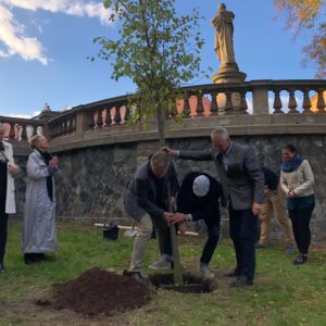 Kutná Hora uctí památku Olgy Havlové v pondělí 28. ledna ve 13 hodin u lípy, která byla na její počest vysazena loni v září