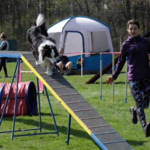 Kutnohorské kynologické cvičiště bude v neděli 8. září patřit agility závodům