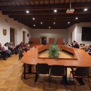 Pozvánka: veřejné jednání k ustanovení Osadního výboru Vnitřní město se uskuteční 2. března v Rytířském sále Vlašského dvora