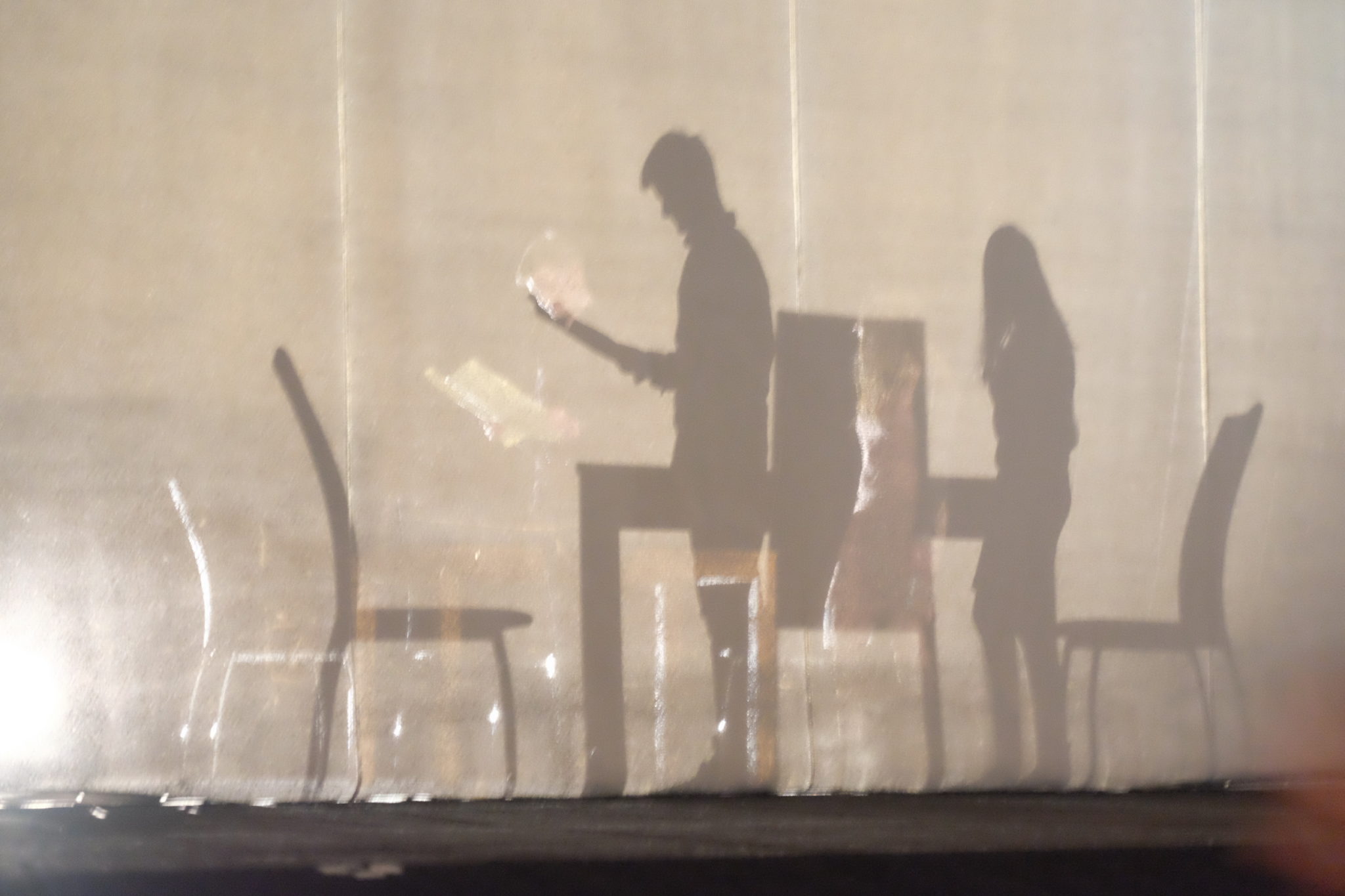 Projekt Příběhy našich sousedů vyvrcholil 2. března slavnostní prezentací v Tylově divadle