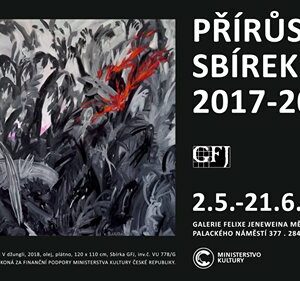 Galerie Felixe Jeneweina rozšířila své sbírky, část z nich bude moci veřejnost zhlédnout do 21. června v Sankturinovském domě