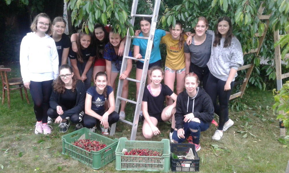 Volejbalistky z kutnohorského oddílu už znovu pilně trénují, zapojují se i do dalších aktivit