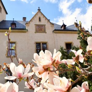 Kutnohorští zastupitelé se po zasedáních ve sportovní hale opět sejdou 23. června od 16 hodin v Rytířském sále Vlašského dvora