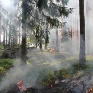 Doba zvýšeného nebezpečí požárů přináší dočasné zákazy. Za jejich porušení hrozí postih