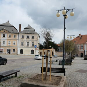 Festival EDUFEST se z důvodu mimořádných opatření 11. října neuskuteční