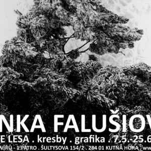 Galerie Felixe Jeneweina vystaví grafiky Lenky Falušiové