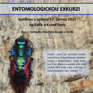 Pozvánka na komentovanou entomologickou exkurzi, sraz v sobotu 12. června v 10 hodin u Havířské boudy na Kaňku