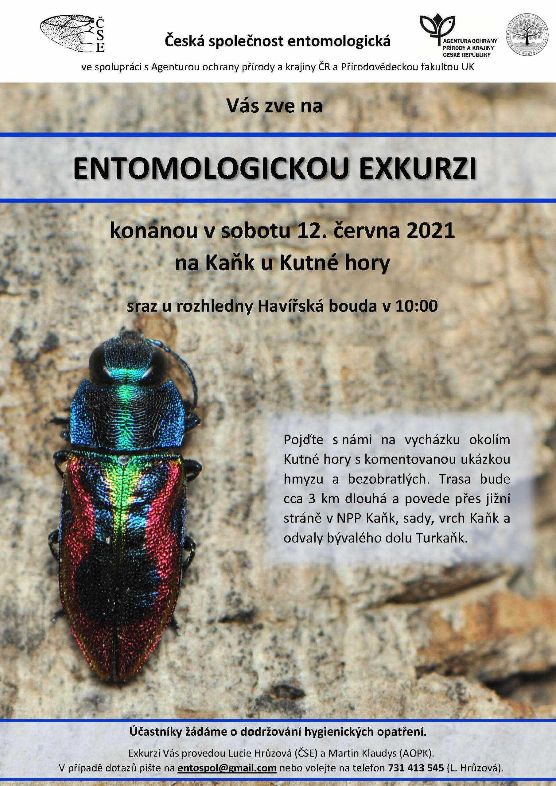 Pozvánka na komentovanou entomologickou exkurzi, sraz v sobotu 12. června v 10 hodin u Havířské boudy na Kaňku