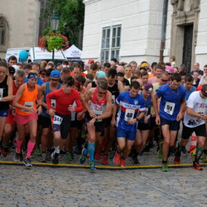 Běžecký závod Dačického 12, jehož součástí je v pátek 12. srpna večer charitativní běh pro Světlušku, nabídne bohatší doprovodný program a i závod na 5,5 kilometrů.