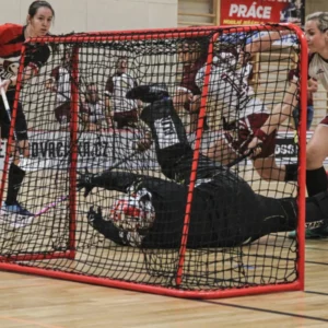 Ženy florbalového oddílu FBC Kutná Hora měly o víkendu na programu dva těžké zápasy na půdě kvalitních soupeřek. V sobotu jely do Plzně, v neděli se představily na Vinohradech