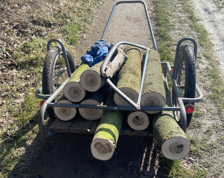 Reakce na článek zveřejněný v dubnovém vydání Kutnohorských listů