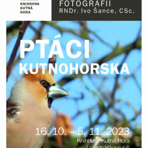 Ptactvo Kutnohorska objektivem Ivo Šance je tématem výstavy, která bude v kutnohorské knihovně zahájena vernisáží 16. října od 17 hodin