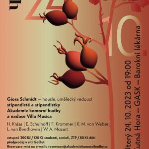 Pozvánka na koncert Akademie komorní hudby s americkým houslistou Giorou Schmidtem