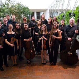 Kutnohorský komorní orchestr pořádá 5. dubna v refektáři GASK Festival neprofesionálních těles