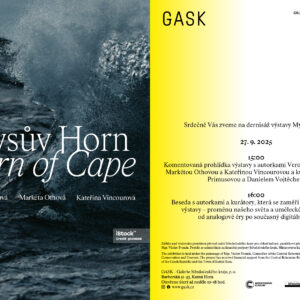 Mysův Horn vrcholí – poslední možnost navštívit výstavu Bromové, Othové a Vincourové v GASK!