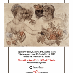 Spolkový dům bude hostit dílo světově uznávaného grafika Jiřího Anderleho, vernisáž se uskuteční 25. září od 17 hodin