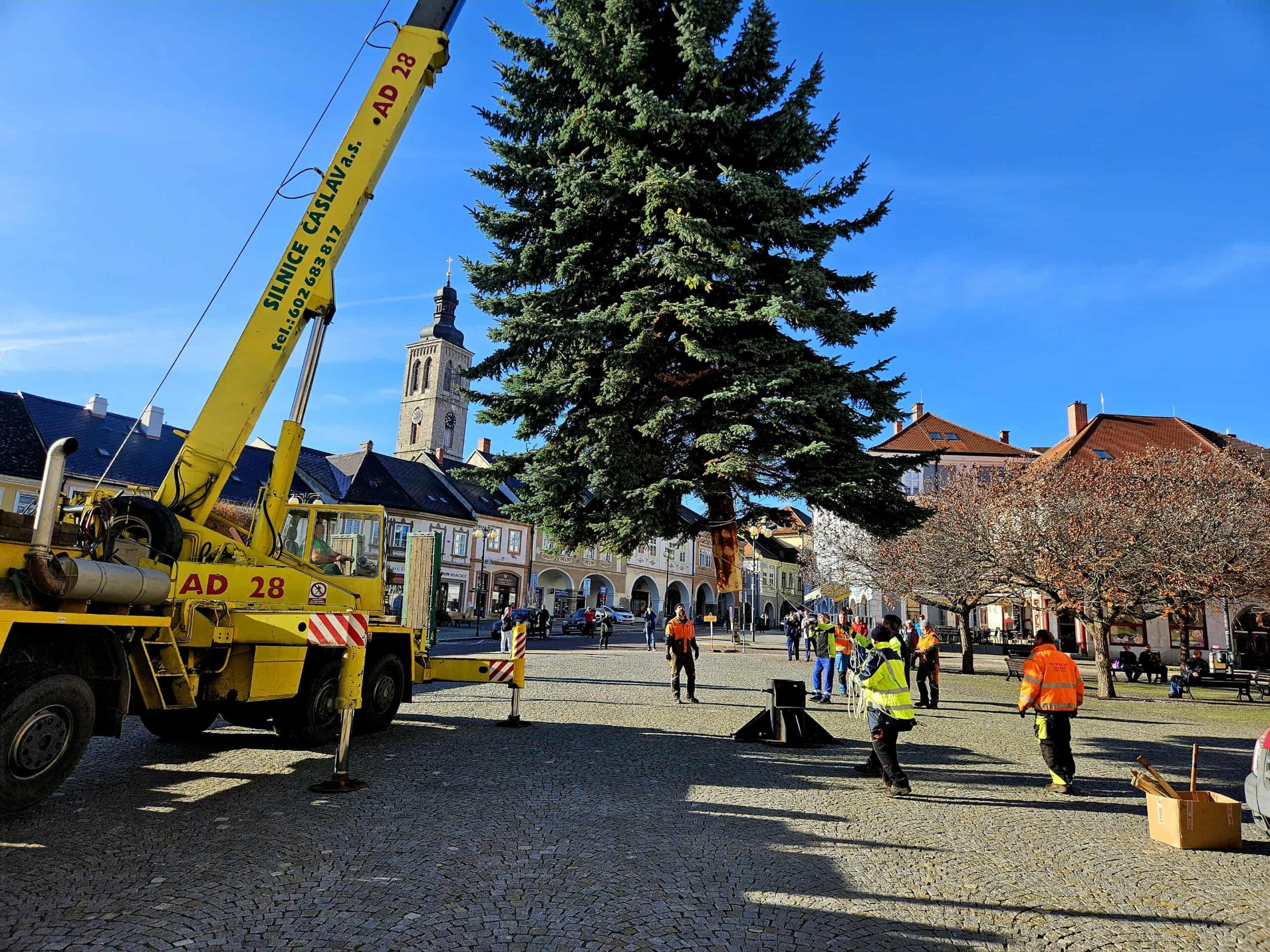 Vánoční strom pro Kutnou Horu pochází ze sídliště Šipší