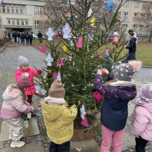 Advent v Kutné Hoře: děti i letos ozdobily stromky darované Městskými lesy a rybníky