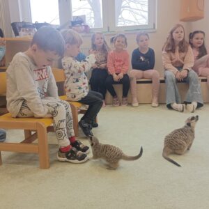 Děti v Paraplíčku měly neobvyklou návštěvu – dorazily surikaty i klokaní miminko