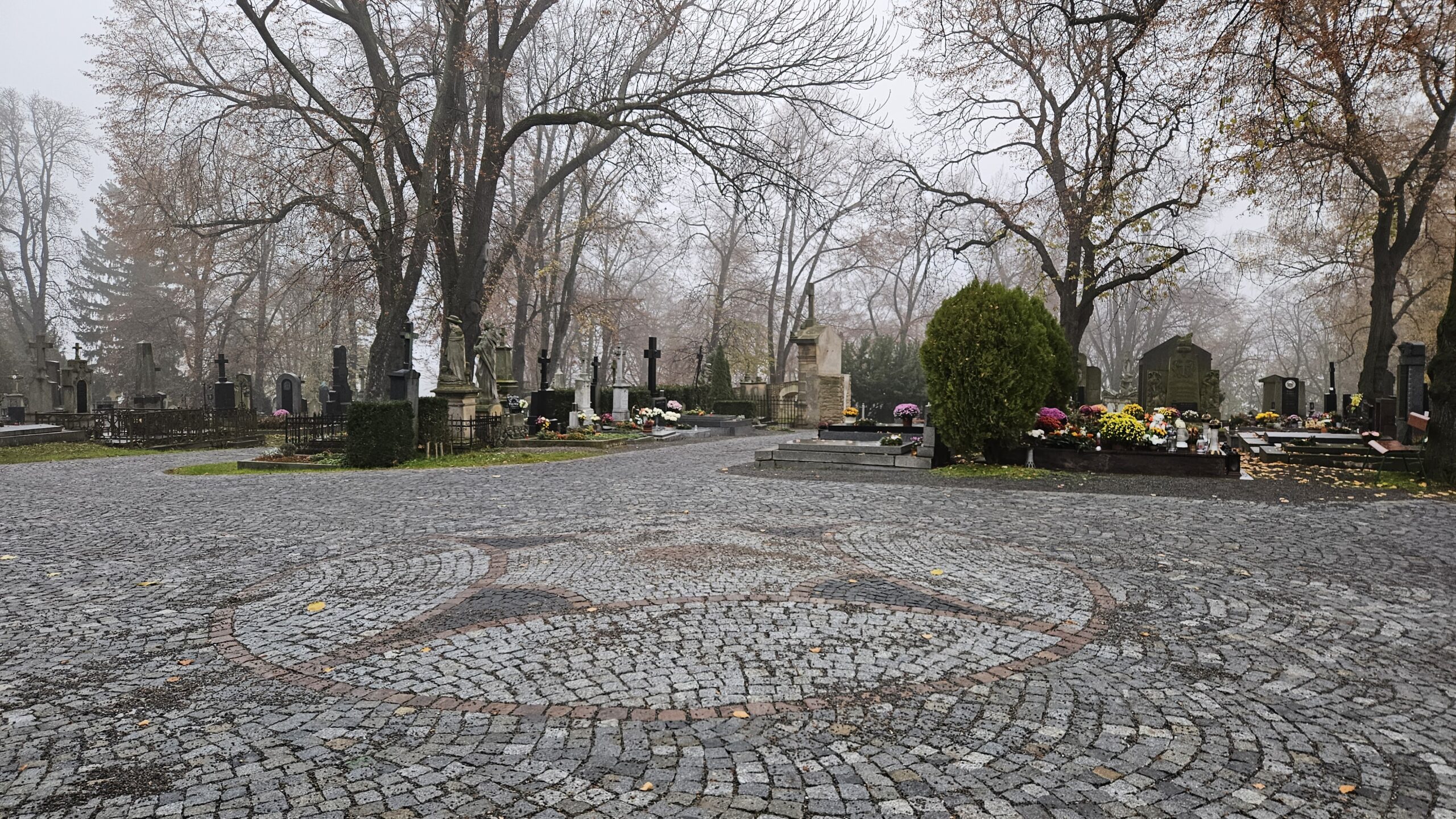 Z redakční pošty: Proměna hřbitova v České ulici