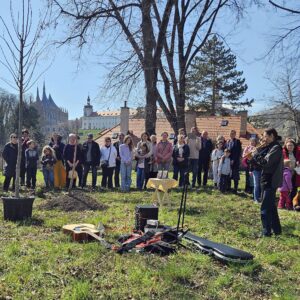 Jóga v denním životě Kutná Hora, z.s. vysadil v Kutné Hoře Strom míru, symbol jednoty a nenásilí